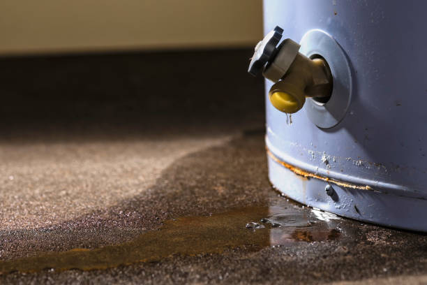 Best Flood restoration services  in Willacoochee, GA