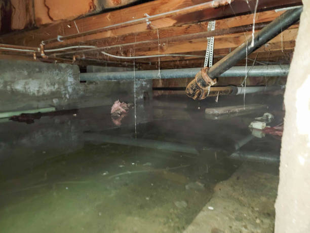 Best 24/7 water damage repair  in Willacoochee, GA
