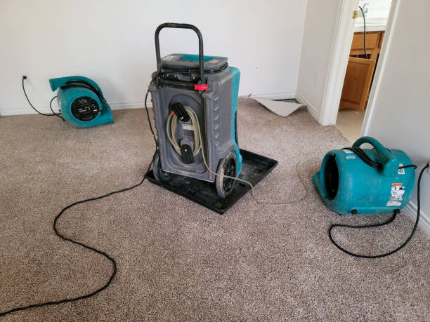 Best Commercial water damage restoration  in Willacoochee, GA