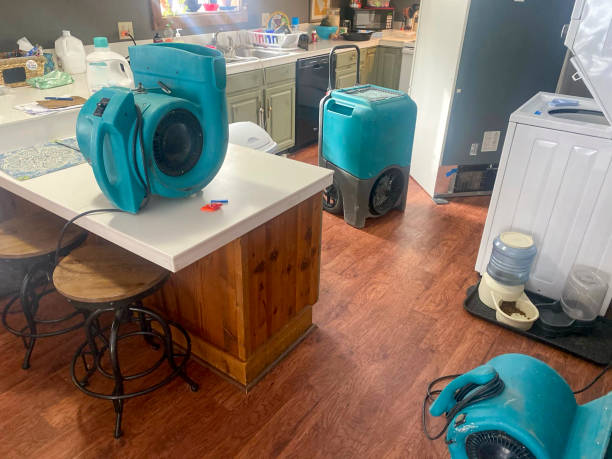 Best Emergency water damage restoration  in Willacoochee, GA