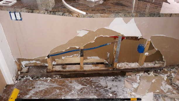Best Water damage restoration services  in Willacoochee, GA