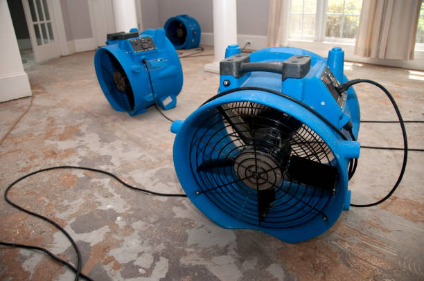 Best Flood restoration services  in Willacoochee, GA