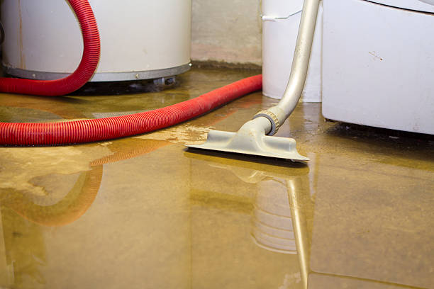 Best 24-hour water damage restoration  in Willacoochee, GA