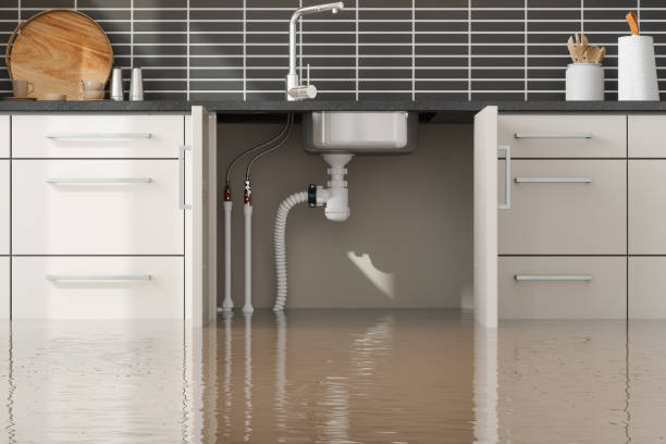Best Local water damage restoration  in Willacoochee, GA