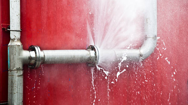 Best Mold removal after water damage  in Willacoochee, GA